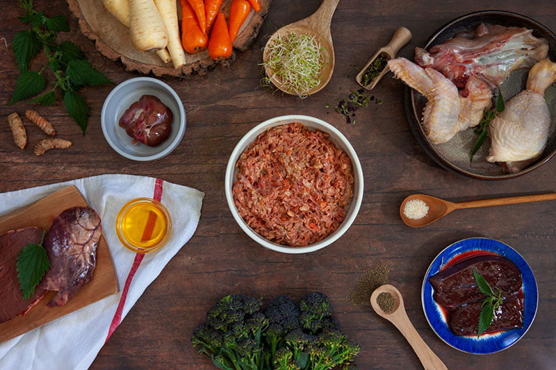 Tender Chicken Complete Adult Raw Working Dog Food - Image 2