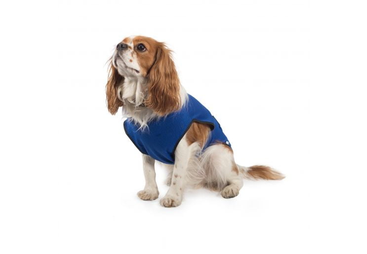 Ancol Dog Cooling Coats